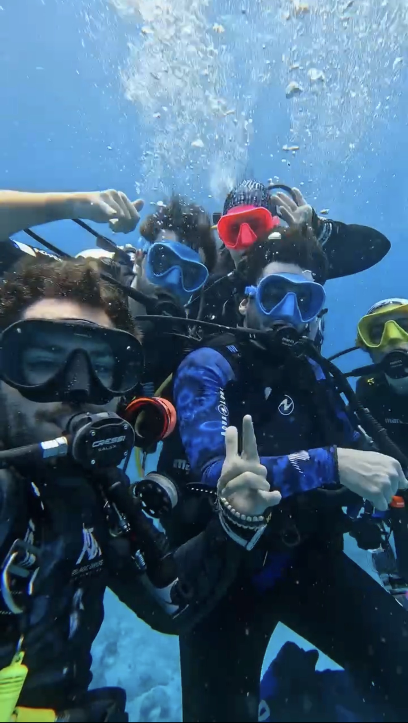 Divelife — Buddies